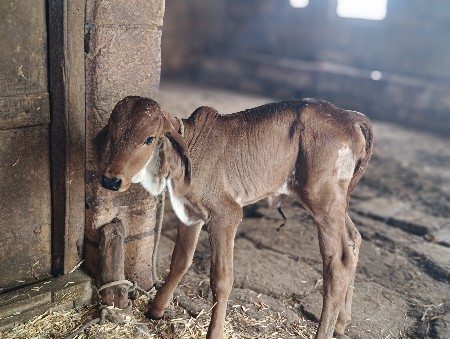 थंबनेल 3