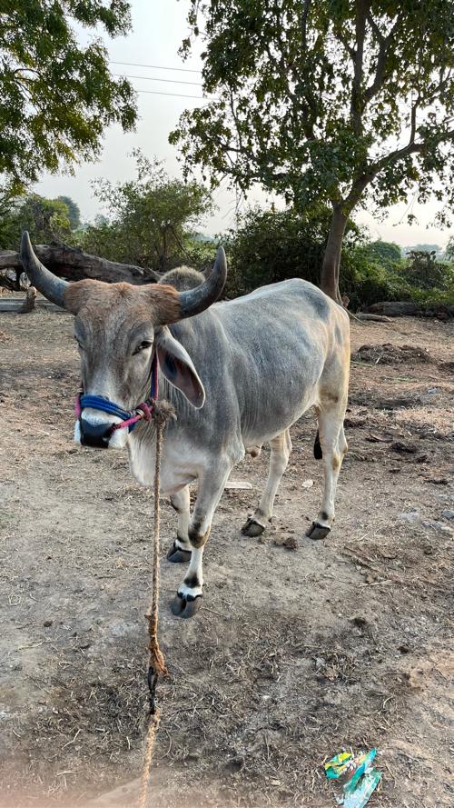 थंबनेल 2