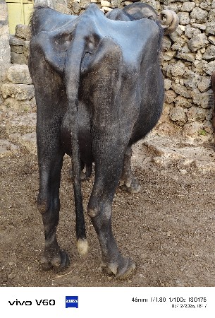 थंबनेल 3