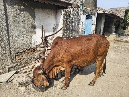 थंबनेल 3