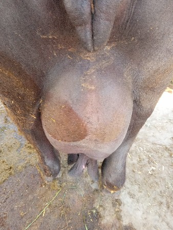 थंबनेल 2