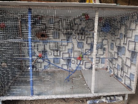 આ પાંજરું વેચવાનું છે 5 ફીટ 3.5