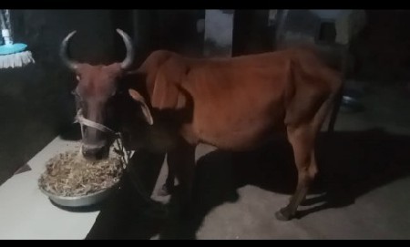 थंबनेल 2