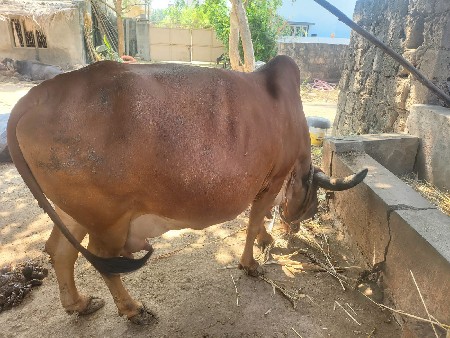 थंबनेल 3