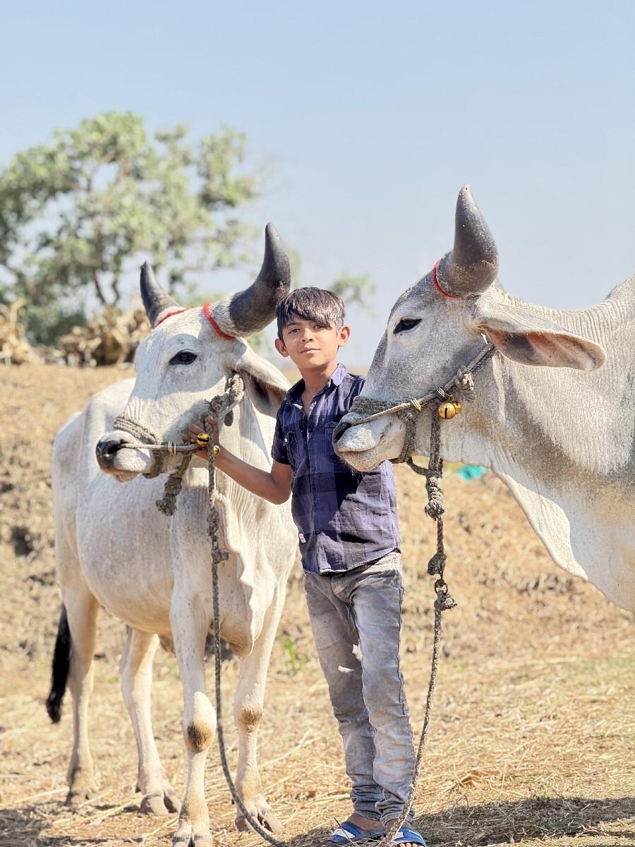 थंबनेल 3