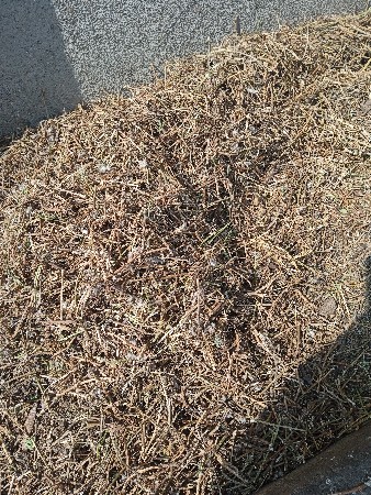 39 નંબરનો ભૂકો વેચવાનો છે 15 વીઘા