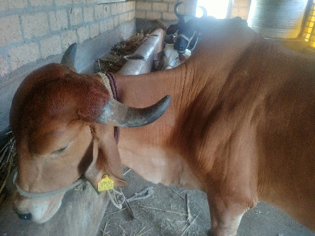 थंबनेल 3