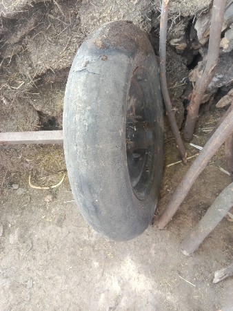 થંબનેલ 2