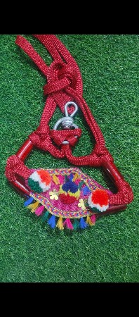 🔴ગાય માટે શણગાર