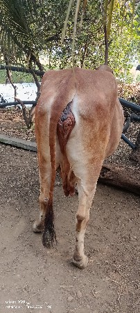 थंबनेल 3