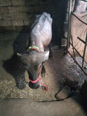 थंबनेल 2