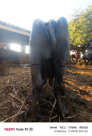 थंबनेल 3