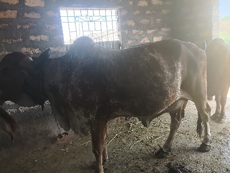 थंबनेल 2