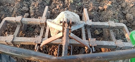 પશિપા વેશવનાસે