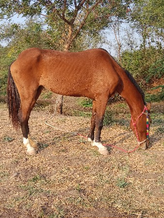 थंबनेल 2