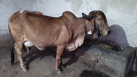 थंबनेल 3