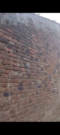 ફોન માત્ર 9638696236 માં કરવો