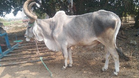 थंबनेल 2