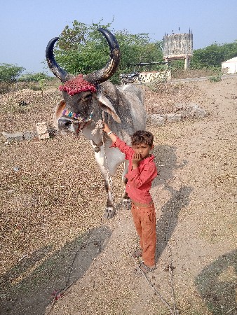 થંબનેલ 3