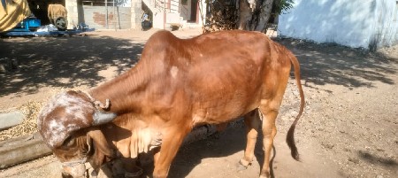 थंबनेल 2