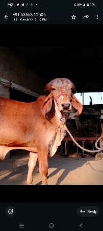 थंबनेल 2