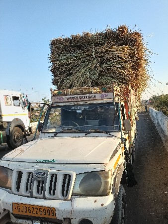 નીરણ ભૂકોલેવચ પોચના ભાવમા જામનગર