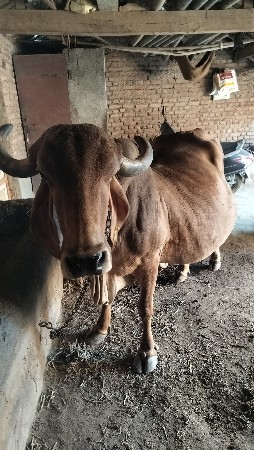 थंबनेल 2