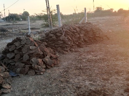 थंबनेल 3