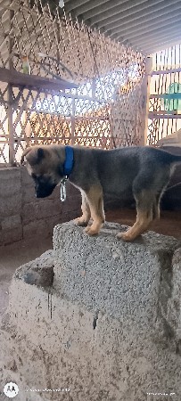 થંબનેલ 2