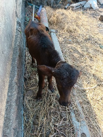 थंबनेल 2