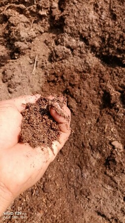 સાણંદ ખાતર પ્યોર કુચા વગરનું