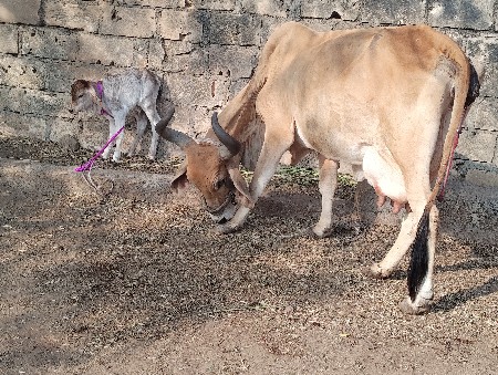 थंबनेल 2