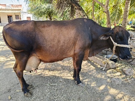 थंबनेल 2