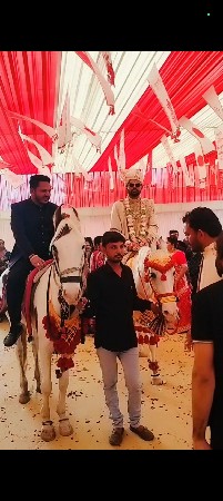 ઘોડી વેચવા ની છે