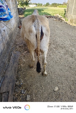 थंबनेल 2