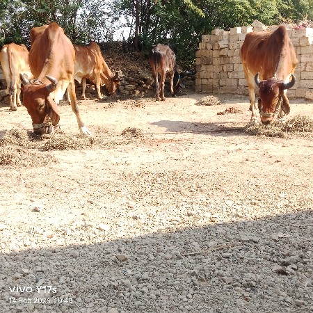 थंबनेल 3