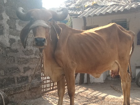 थंबनेल 3