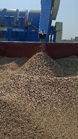 શ્રી ગણેશ