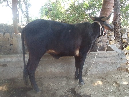 थंबनेल 2