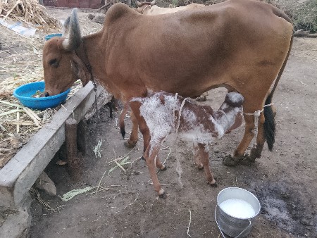 थंबनेल 4