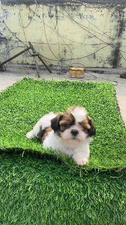 थंबनेल 2