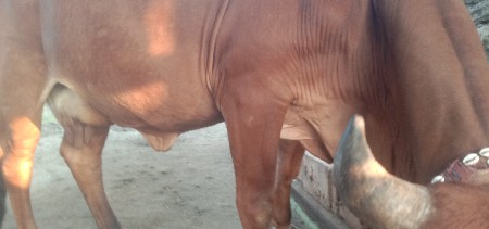 थंबनेल 2