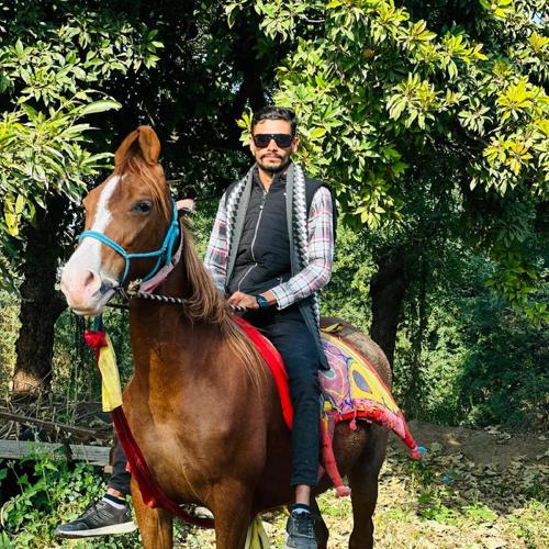 ઘોડી વેચવાની છે