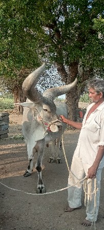 थंबनेल 3