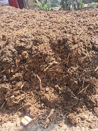 પયોર છાણીયુ ખાતર વેશવા નુ