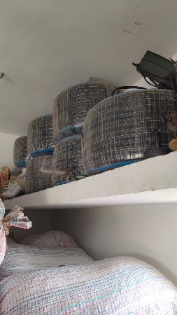 थंबनेल 4