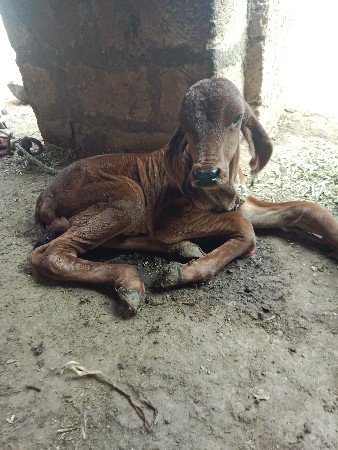 थंबनेल 3