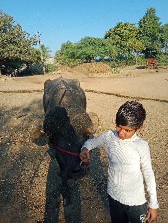 थंबनेल 3