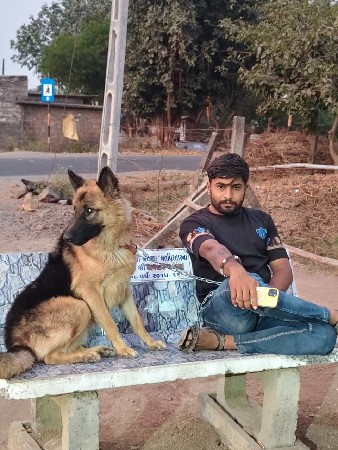 જર્મન ફિમેલ વેચવાની છે