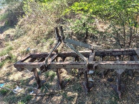 દાંતી વેસવાની છે